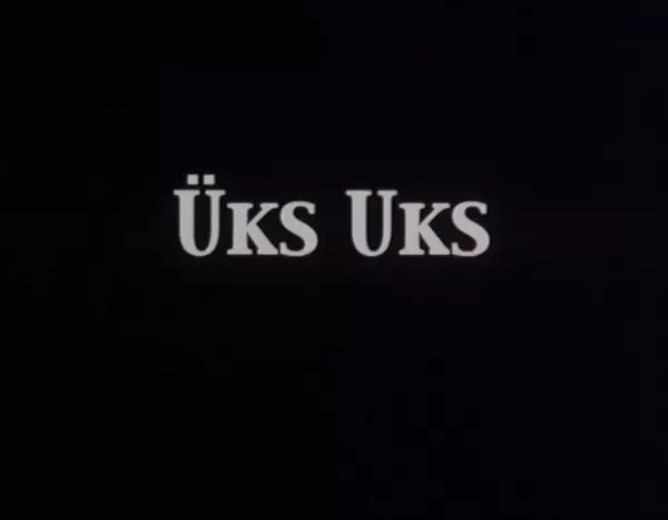 Capa de Üks Uks