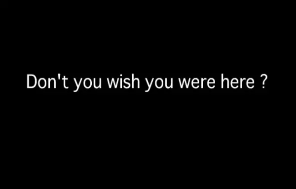 Capa de Don't You Wish You Were Here?