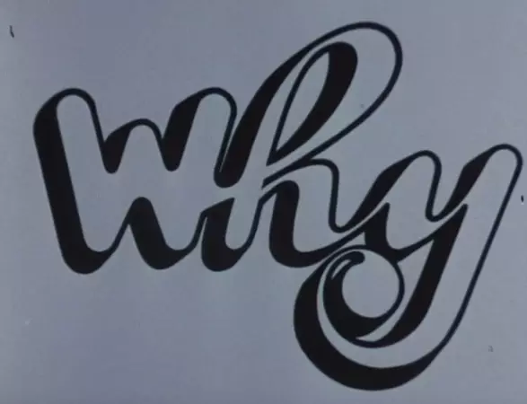 Capa de Why