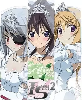Capa de IS: Infinite Stratos 2 - Infinite Wedding
