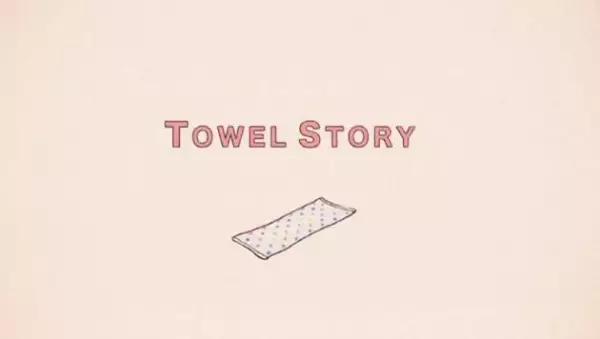 Capa de Towel Story