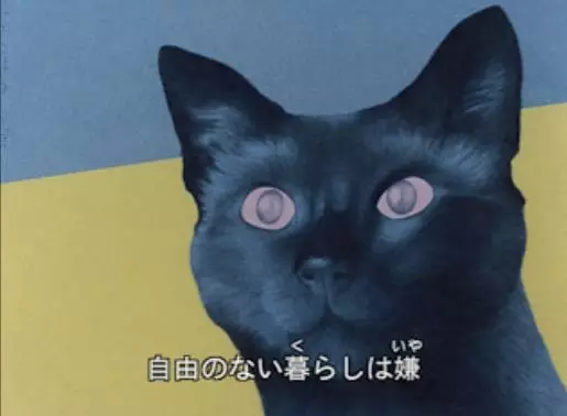 Capa de Cat's Eye Love