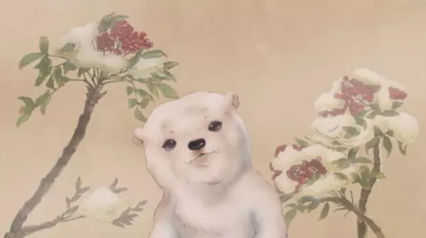 Capa de Snowdrop