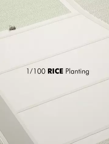 Capa de 1/100 Rice Planting