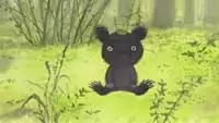 Capa de Amefuri Kuma no Ko
