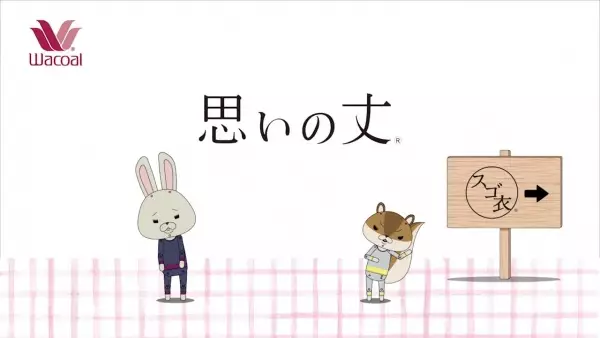 Capa de Kamiusagi Rope x Wacoal