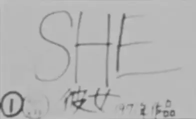 Capa de She