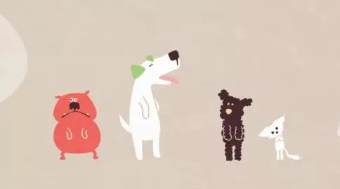 Capa de Oned