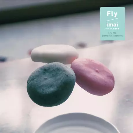 Capa de Fly feat. 79, Kaho Nakamura