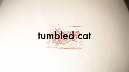 Capa de Tumbled Cat