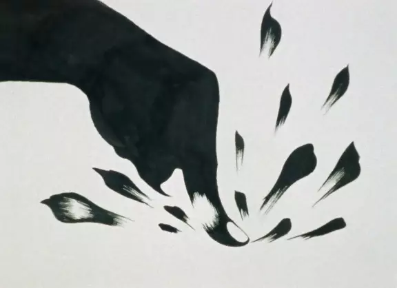 Capa de Oumagatoki