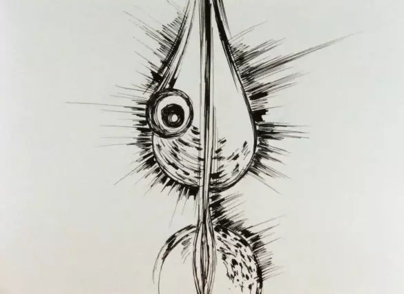 Capa de Gavora