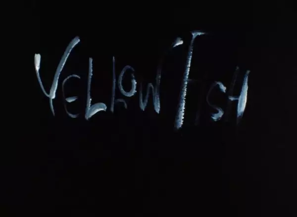 Capa de Yellow Fish