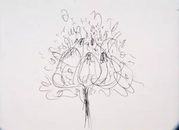 Capa de Lotus