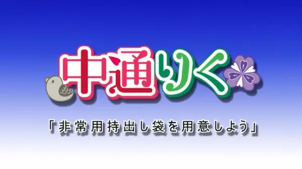 Capa de Nakado Riku Animation: Hijouyou Mochidashi Bukuro wo Youi Shiyou