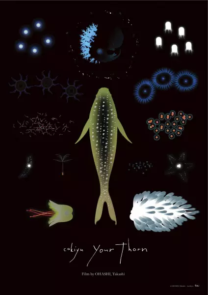 Capa de Your Thorn