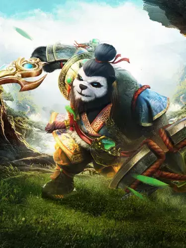 Capa de Taichi Xiongmao