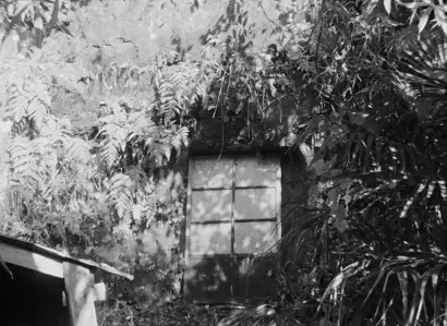 Capa de My Shelter