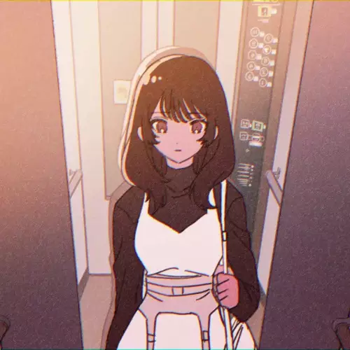 Capa de Shimi