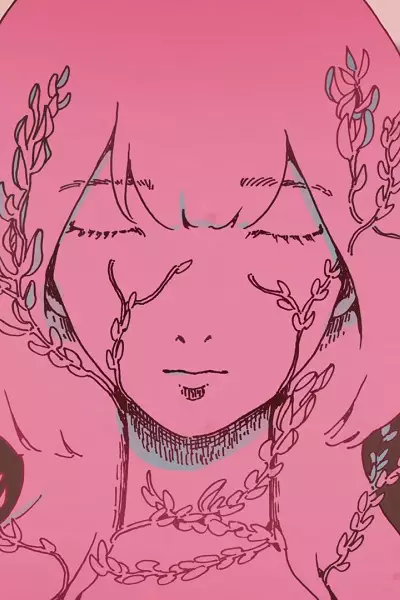 Capa de Wakusei
