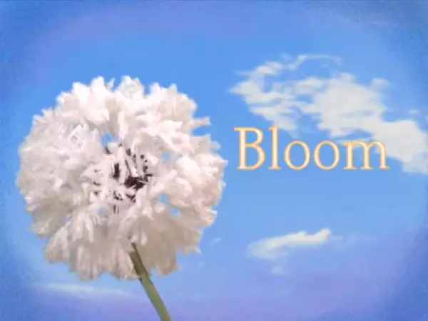 Capa de Bloom