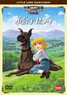Capa de Shoukoushi Cedie