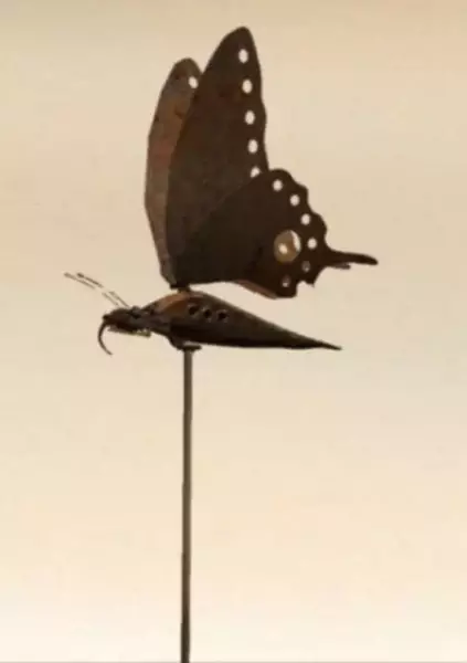 Capa de Lost Butterfly