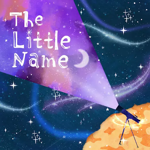 Capa de The Little Name
