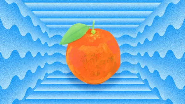 Capa de Orange March