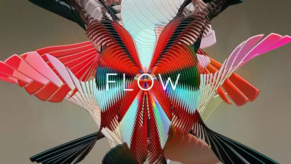 Capa de Flow