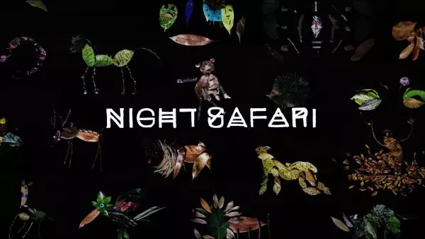 Capa de Night Safari