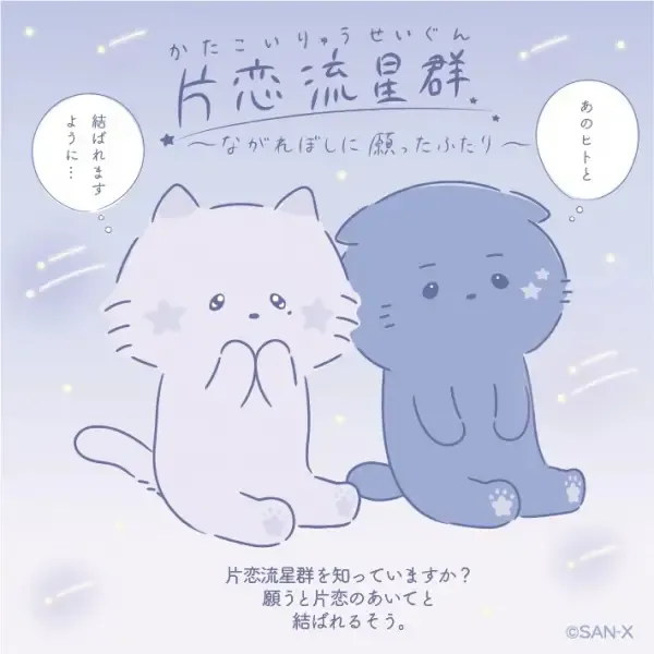 Capa de Katakoi Meteor Shower
