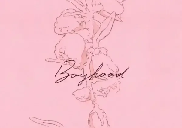 Capa de Boyhood