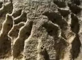 Capa de Bollogi Iyagi
