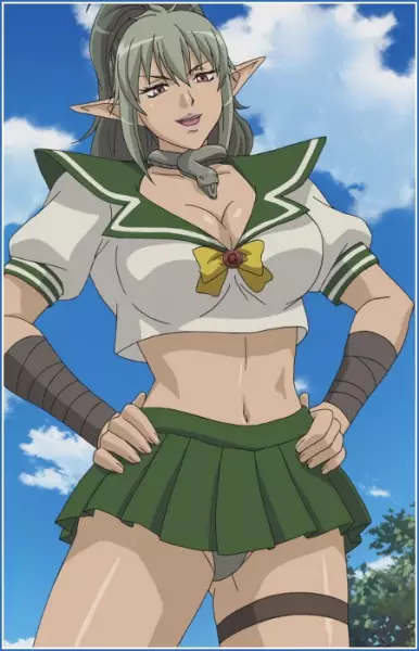 Capa de Queen's Blade: Gyokuza wo Tsugu Mono Specials