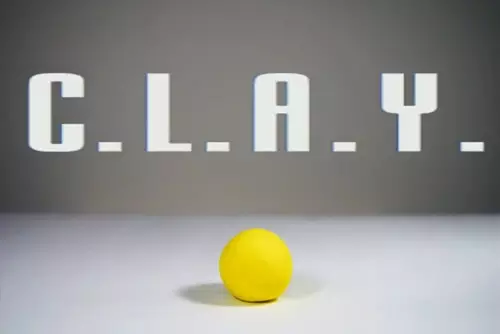 Capa de C.L.A.Y.