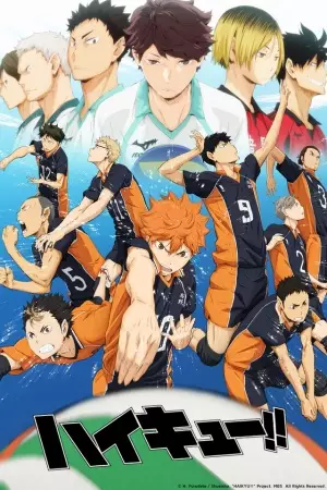 Capa de Haikyuu!!