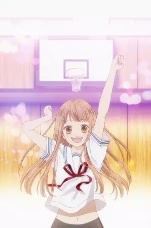 Capa de Tsubasa to Hotaru