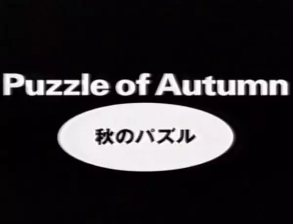 Capa de Aki no Puzzle