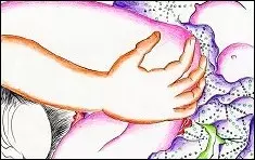 Capa de Shunga