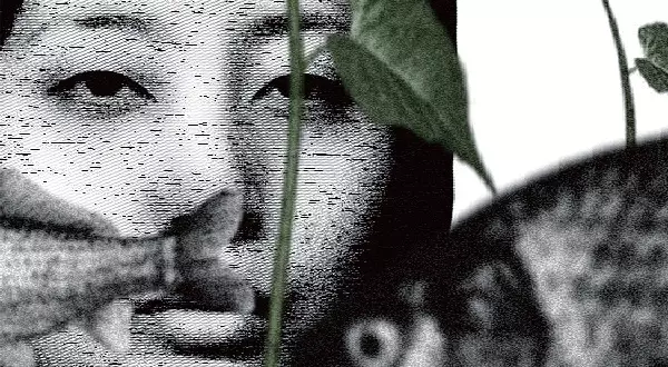 Capa de Nisou no Kuzu