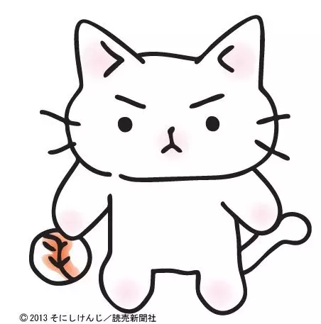 Capa de Neko Pitcher