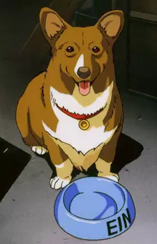 imagem de capa do personagem Ein