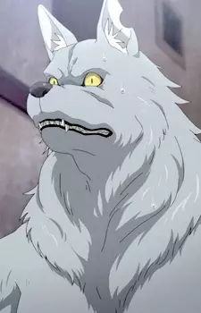 imagem de capa do personagem Wolfgang von Kraftman