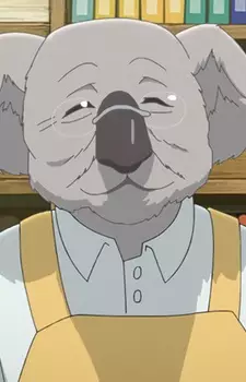 imagem de capa do personagem Koala