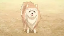 imagem de capa do personagem Lucky