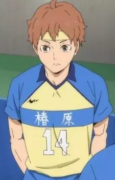 imagem de capa do personagem Aoi Himekawa