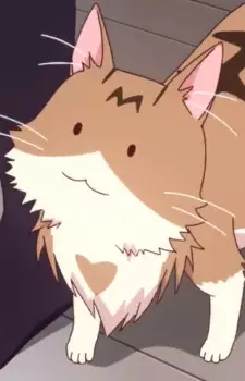 imagem de capa do personagem Metako