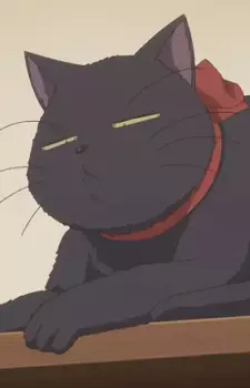 imagem de capa do personagem Shokora