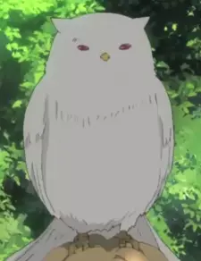 imagem de capa do personagem Hakuhi